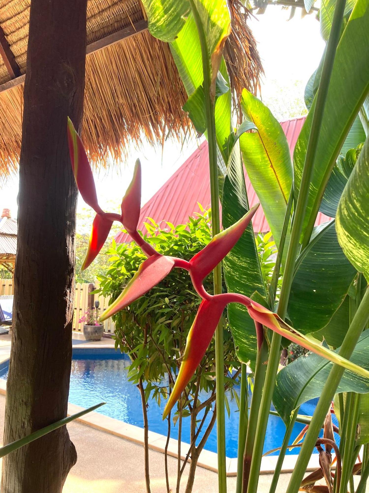 Villa Ayutthaya At Kantiang Bay Ko Lanta Eksteriør billede